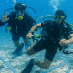 easymap Funktionen deep dive